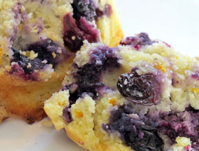 Ott’s Poppy Seed-Lemon-Blueberry Muffins